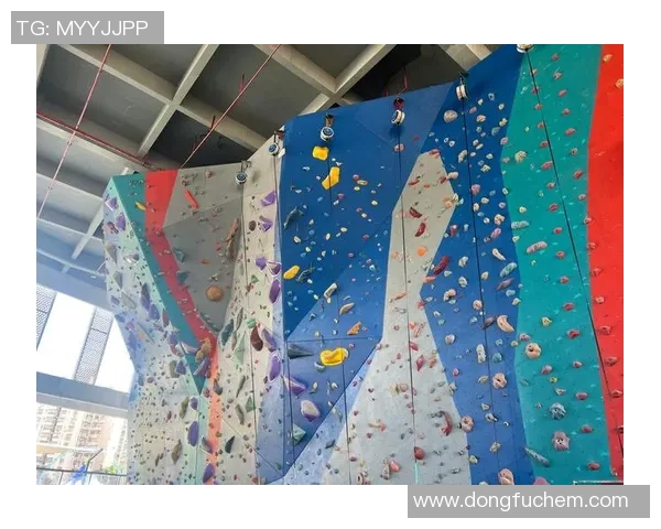 攀岩深度：解密南京攀岩队的快攻