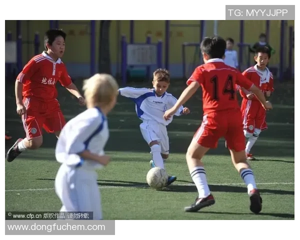 网球焦点：北京网球队的团队协作探讨